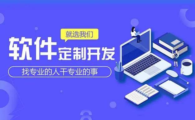 軟件定制