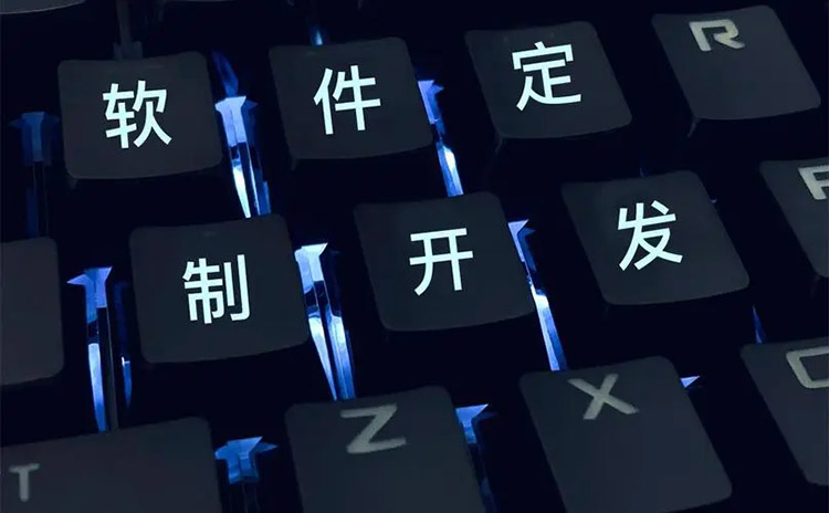成都軟件開發(fā)單一營銷網(wǎng)站與組合營銷軟件誰將主宰市場？